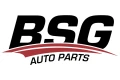 BSG