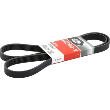 GATES 6PK1613 V Kayışı