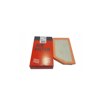 Filtron AP093/5 Hava Filtresi