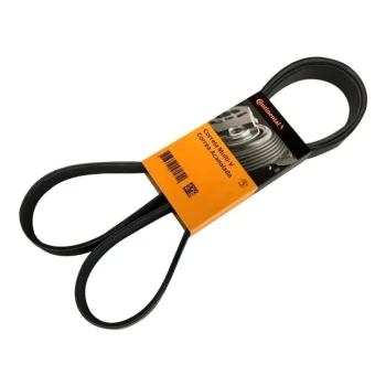 Peugeot 308 1.6 e-HDI Euro5 V Kayışı 2011-2013 Continental