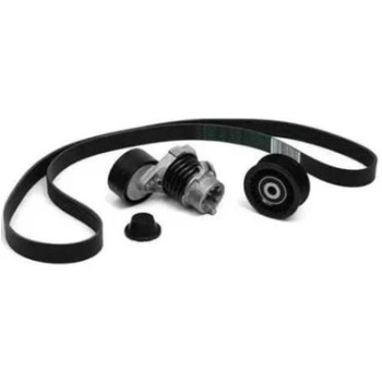 Peugeot 206+ 1.4 V Kayışı Gergi ve Rulman Seti 2010-2012 PSA ORİJİNAL