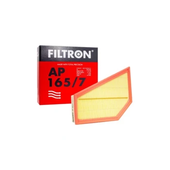 Filtron AP165/7 Hava Filtresi