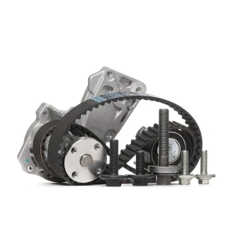 Ford Fiesta 1.25 Benzinli Triger ve Devirdaim Seti 2009-2017 Dayco