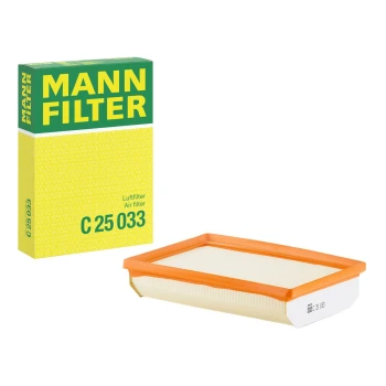 Mann Filter C25033 Hava Filtresi