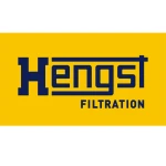 Hengst