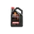 Motul 8100 Eco-Nergy 5W30 Motor Yağı 5 Litre