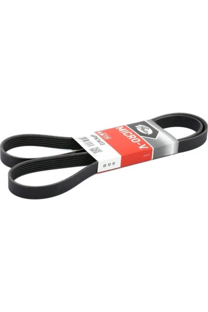 GATES 6PK1613 V Kayışı