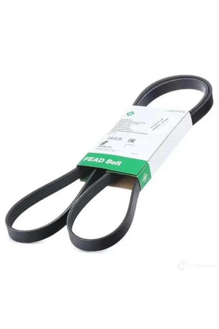 Seat Leon 1.4 TSI CAX V Kayışı 2008-2012 INA