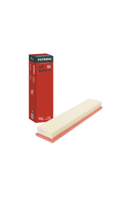 Filtron AP058/3 Hava Filtresi