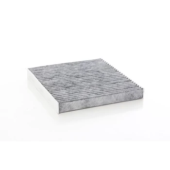 Volkswagen Golf 7 Karbonlu Polen Filtresi 2013-2020 BSG