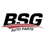 BSG