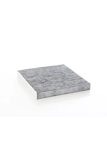 Skoda Octavia Karbonlu Polen Filtresi 2013-2019 BSG