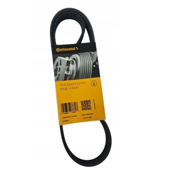 Ford Focus 3 1.0 EcoBoost V Kayışı 2011-2018 Continental